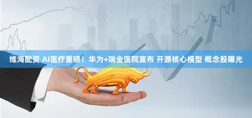 维海配资 AI医疗重磅！华为+瑞金医院宣布 开源核心模型 概念股曝光