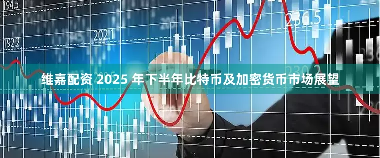 维嘉配资 2025 年下半年比特币及加密货币市场展望