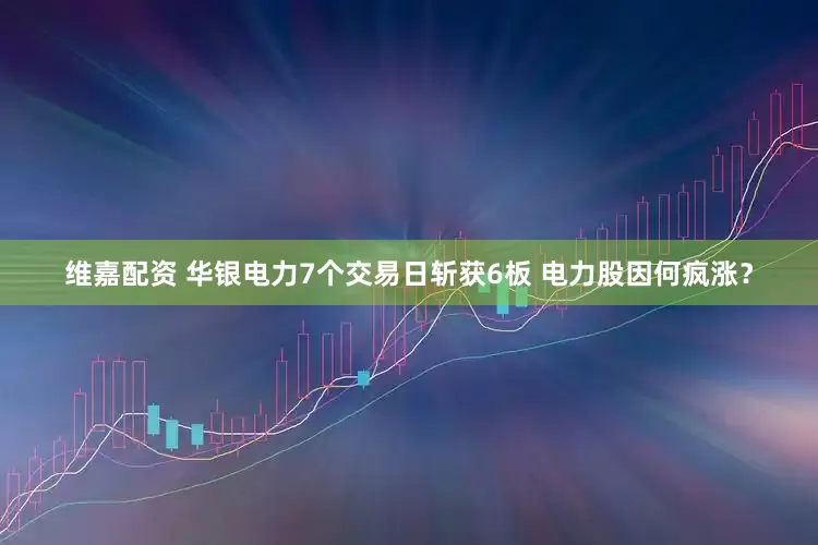维嘉配资 华银电力7个交易日斩获6板 电力股因何疯涨？