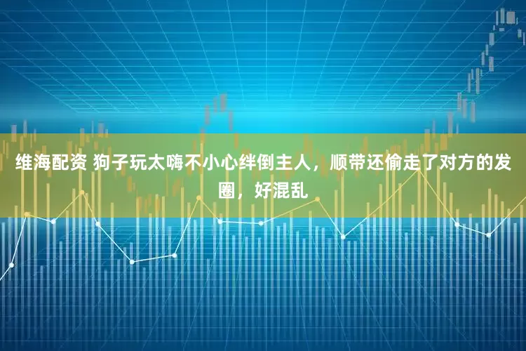 维海配资 狗子玩太嗨不小心绊倒主人，顺带还偷走了对方的发圈，好混乱