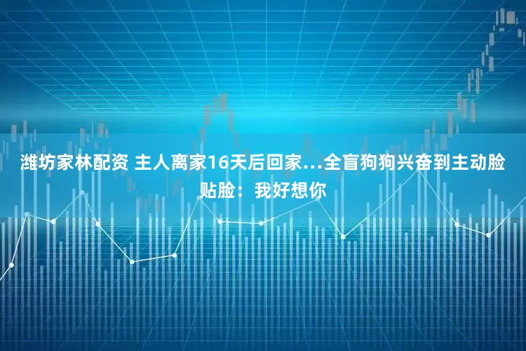 潍坊家林配资 主人离家16天后回家…全盲狗狗兴奋到主动脸贴脸：我好想你
