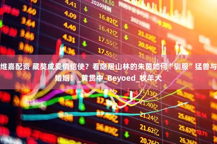 维嘉配资 藏獒成爱情信使？看隐居山林的朱茵如何“驯服”猛兽与婚姻！_黄贯中_Beyoed_牧羊犬