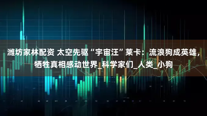潍坊家林配资 太空先驱“宇宙汪”莱卡：流浪狗成英雄，牺牲真相感动世界_科学家们_人类_小狗