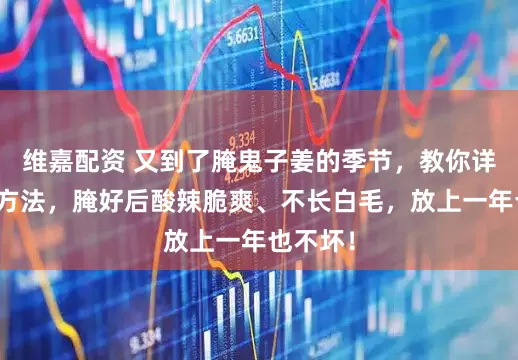 维嘉配资 又到了腌鬼子姜的季节，教你详细腌制方法，腌好后酸辣脆爽、不长白毛，放上一年也不坏！